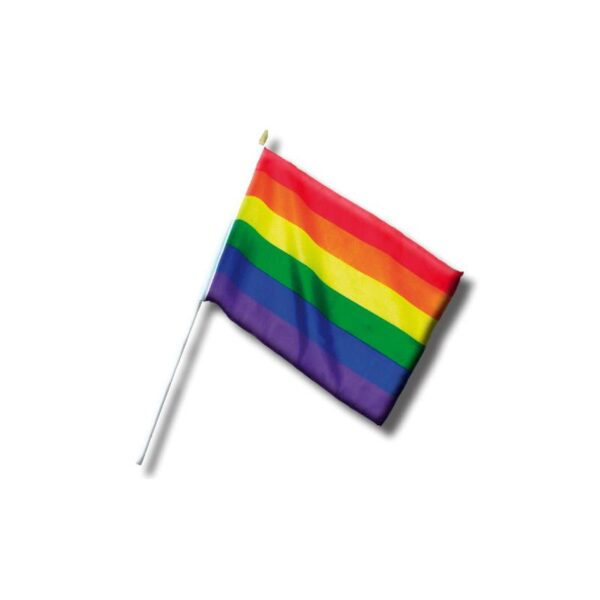 Banderin Pequeo con Bandera LGBT+ 30 cm