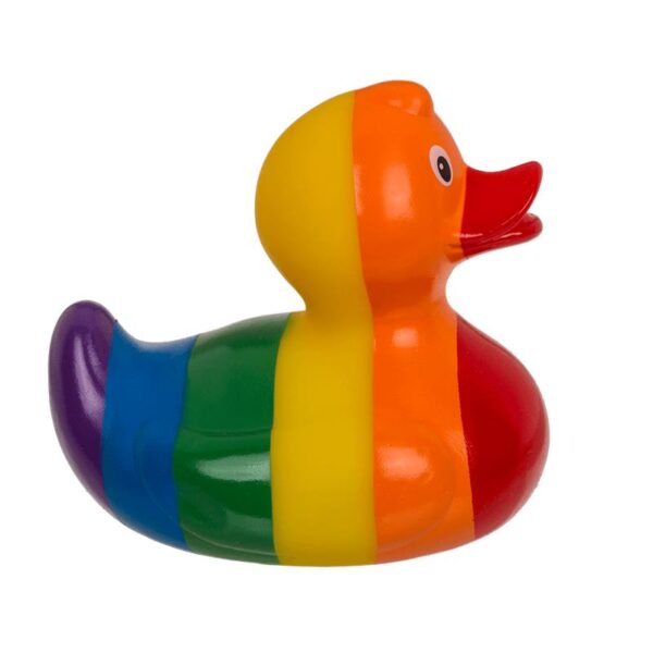 Patito Multicolor - Imagen 2