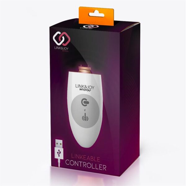 Controller USB - Imagen 3