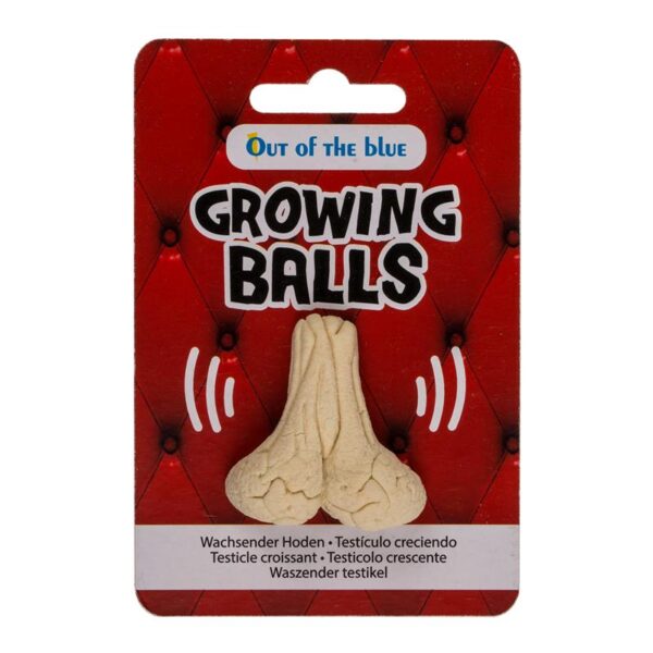 Growing Testicle 4x3 cm - Imagen 3