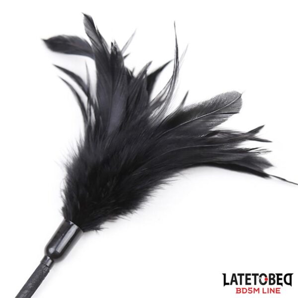 Multi Feathers Tickler and Lace Ribbon Paddle Comb - Imagen 3