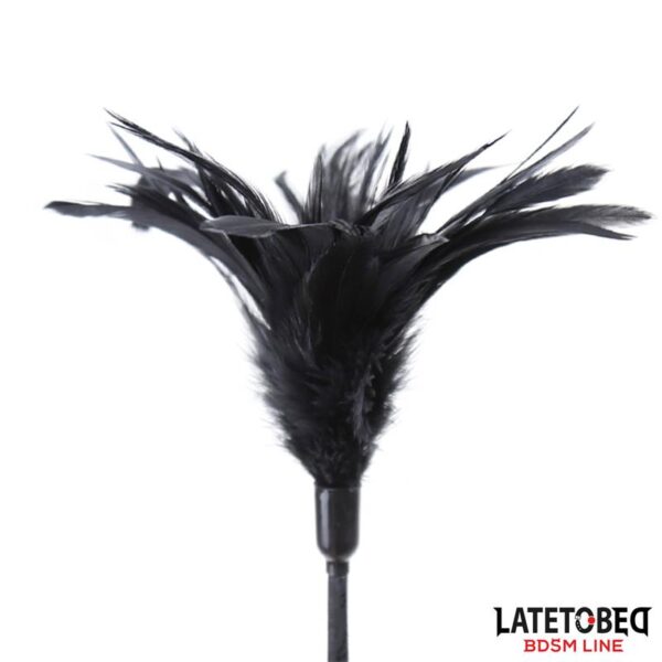 Multi Feathers Tickler and Lace Ribbon Paddle Comb - Imagen 4