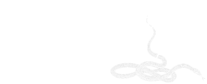 Muerde la Manzana